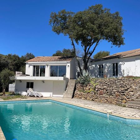 Pignan Les Terrasses Des Gardies B&B 외부 사진
