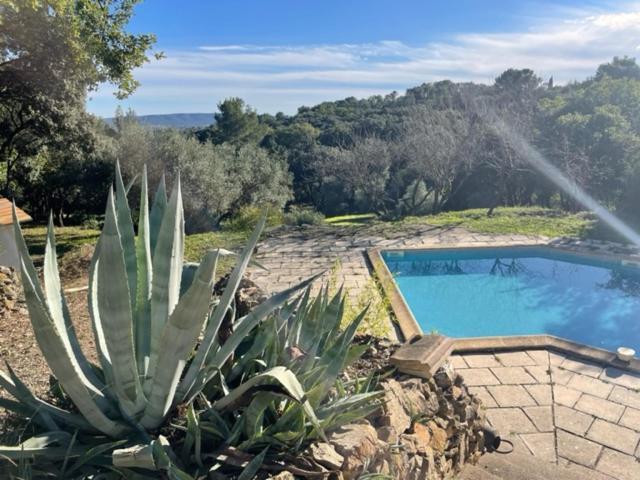 Pignan Les Terrasses Des Gardies B&B 외부 사진