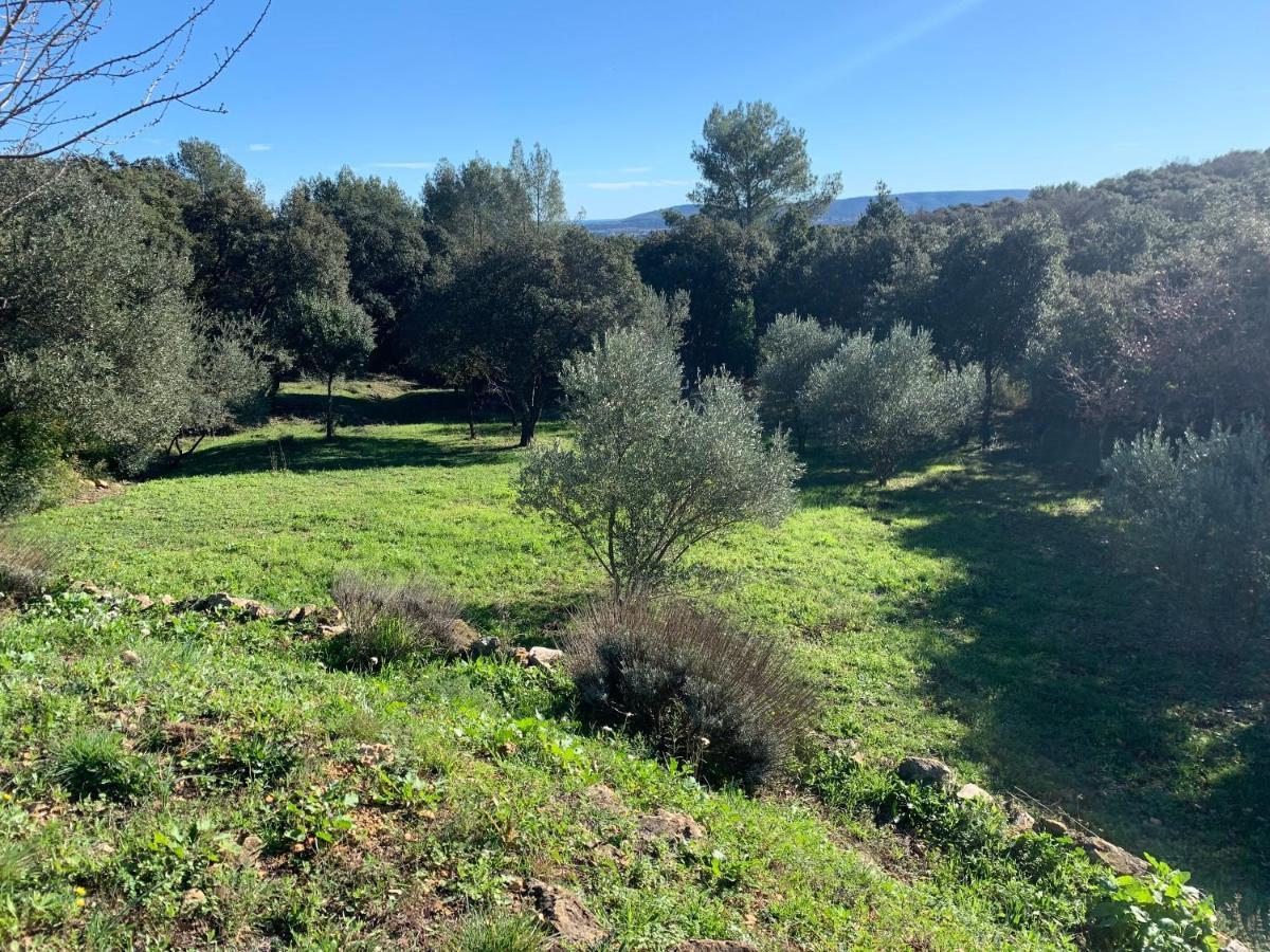 Pignan Les Terrasses Des Gardies B&B 외부 사진